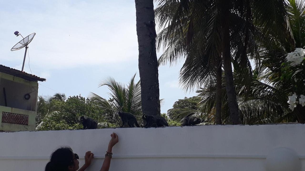 Pousada Caribe Nordestino Tamandaré Εξωτερικό φωτογραφία